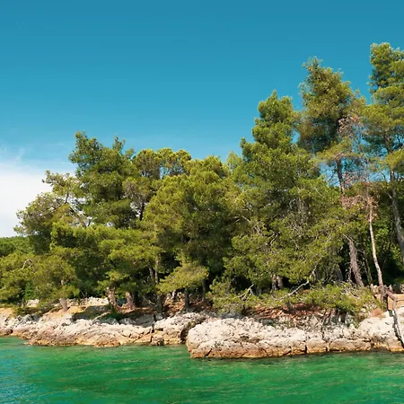 Larus By Interhome Malinska